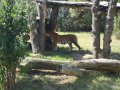 IMGP1180.JPG